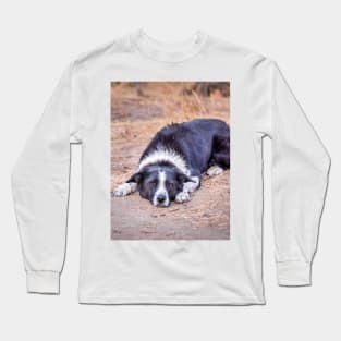 Cute Border Collie Lying on Ground Long Sleeve T-Shirt